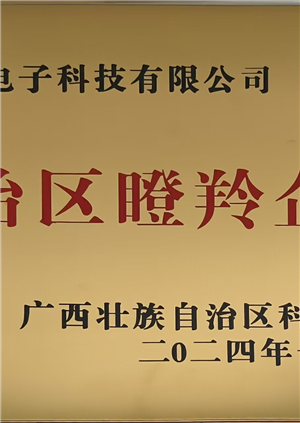 广西壮族自治区瞪羚企业