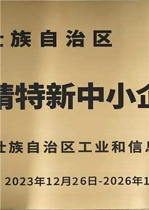 广西壮族自治区专精特新中小企业